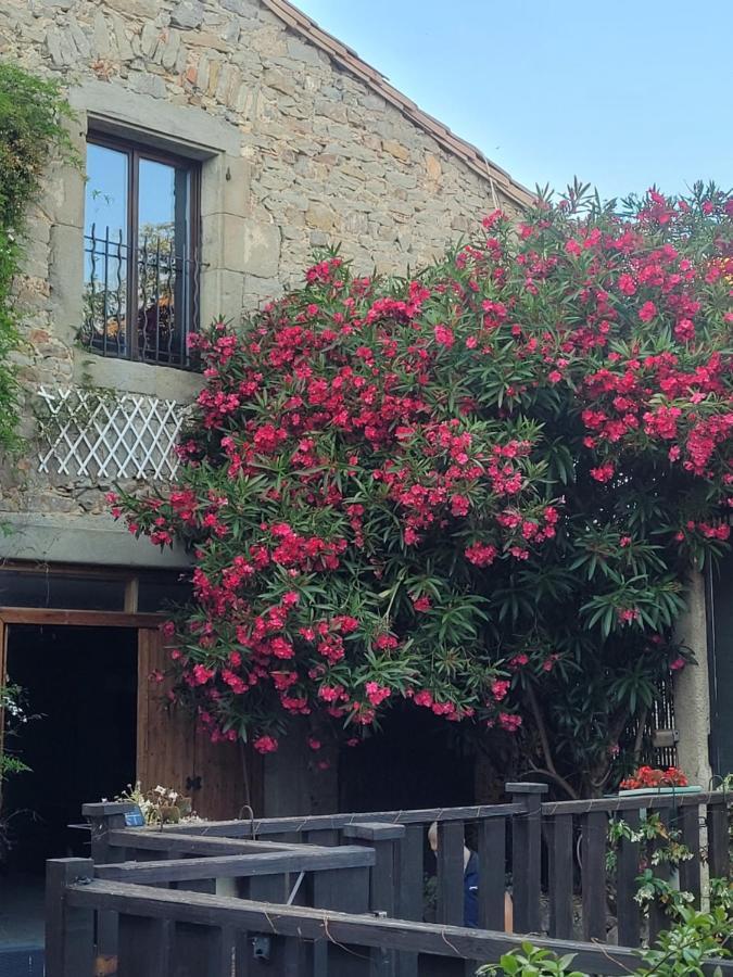 Azille L'Apartement Deluxe מראה חיצוני תמונה